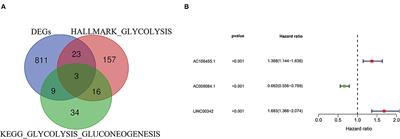 Identification of a Three-Glycolysis-Related lncRNA Signature Correlated With Prognosis and Metastasis in Clear Cell Renal Cell Carcinoma